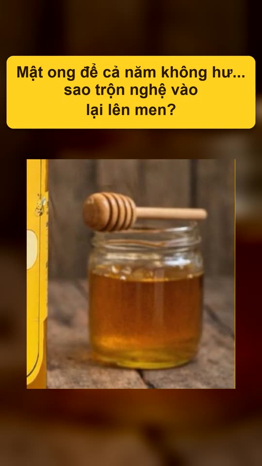 Vì sao mật ong trộn nghệ lại lên men?